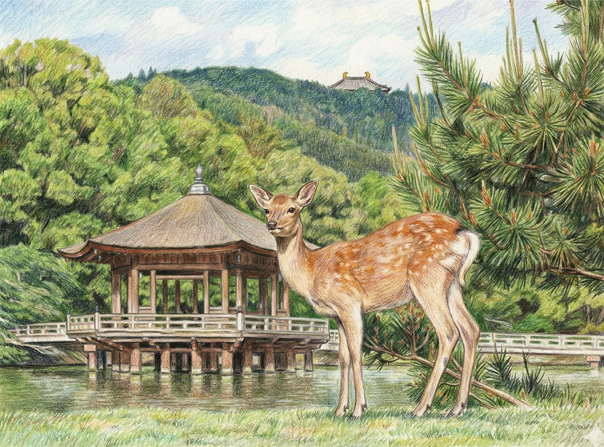 奈良公園
