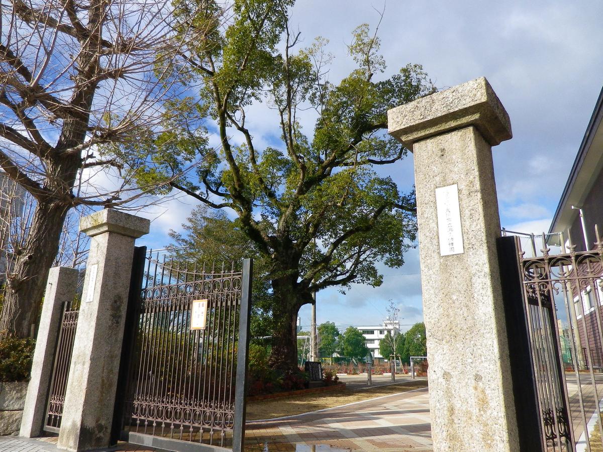 興文木（クスノキ）と正門門柱