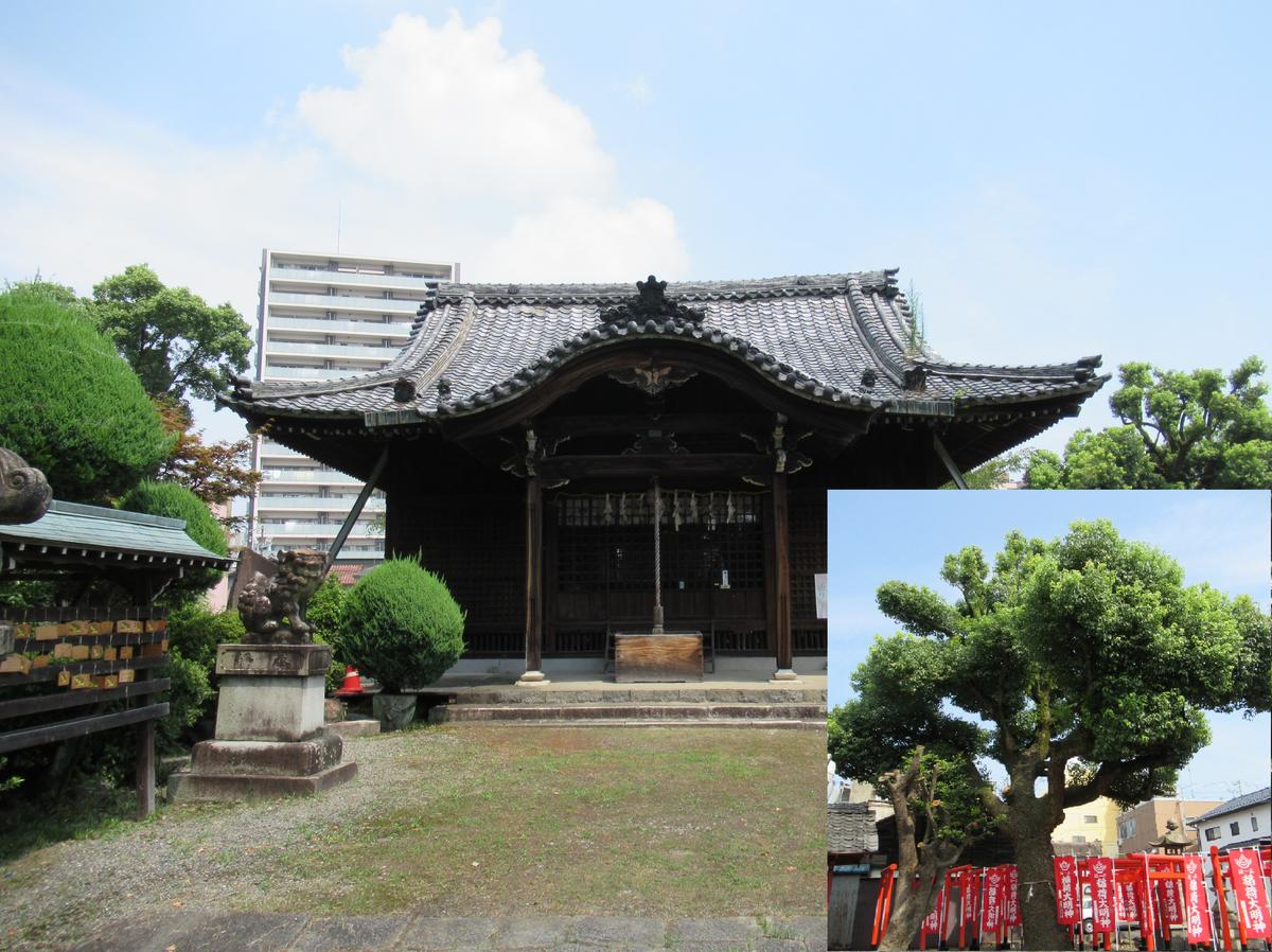 常葉神社と大楠