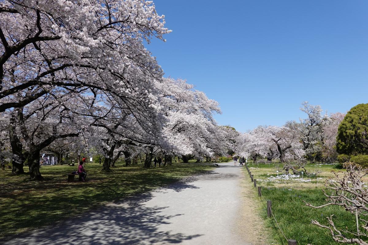 小石川植物園
