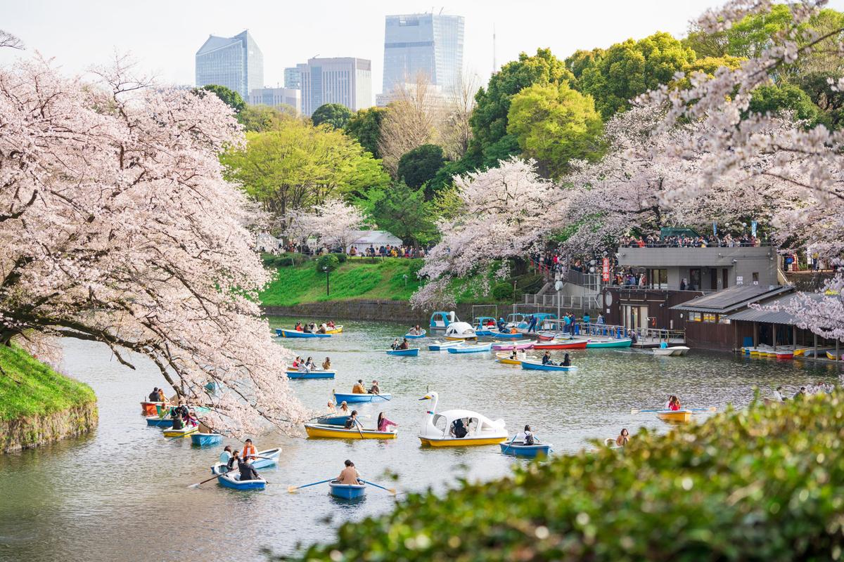 千鳥ヶ淵緑道