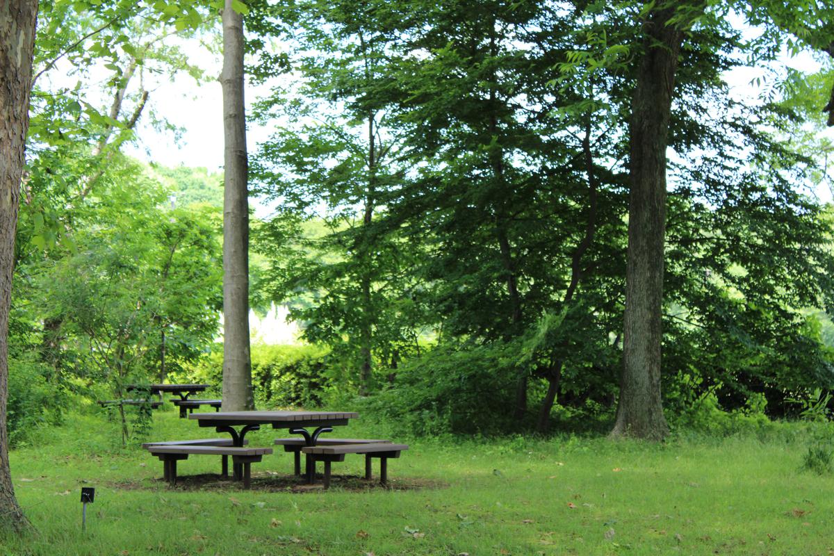 平和の森ベンチ