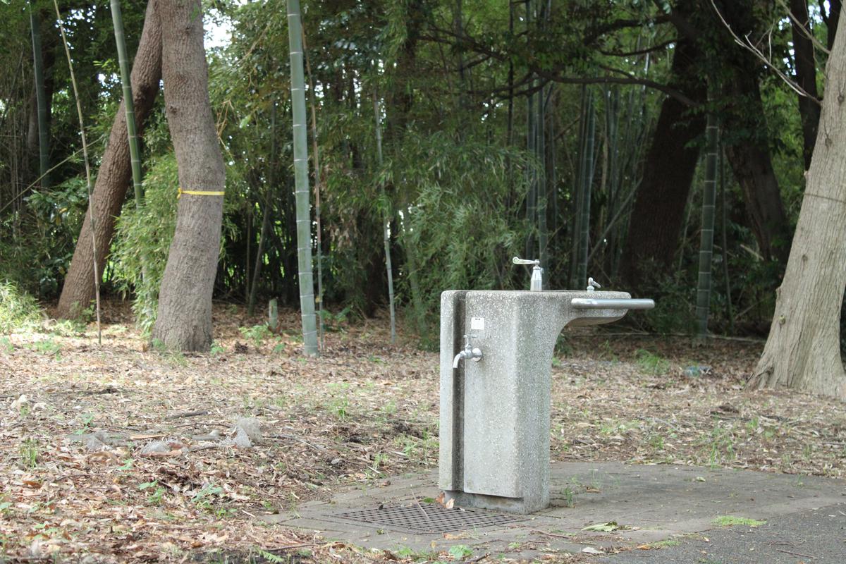 水栓（シマサルスベリ並木）