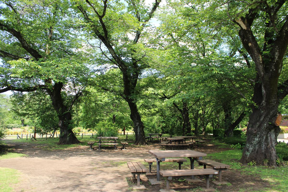 芝生売店ベンチ