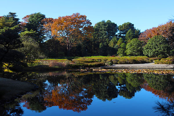 大池が鏡になる紅葉