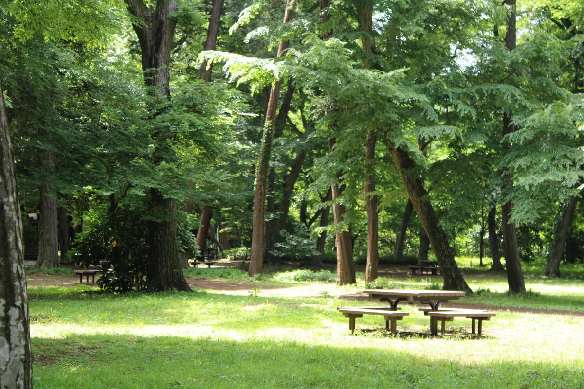 武蔵野の森ベンチ