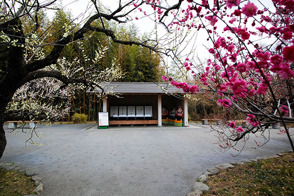 東屋 梅園