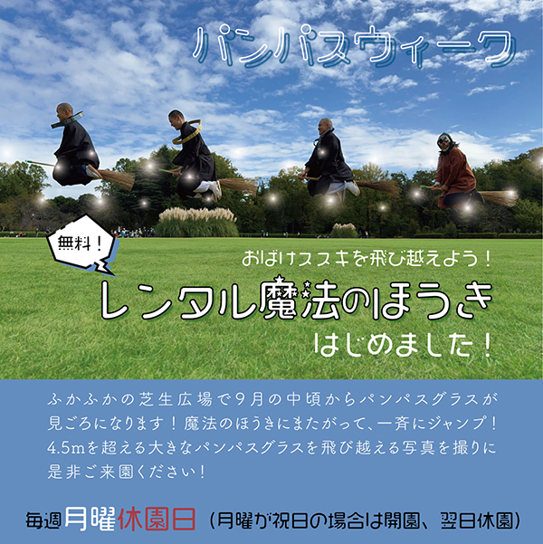 レンタル魔法のほうき