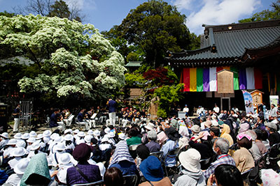 4/29 13:00~なんじゃもんじゃコンサート