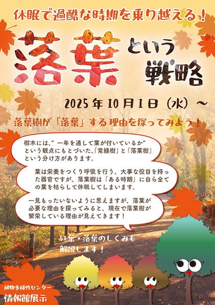 植物多様性センター_落葉の理由を探る!