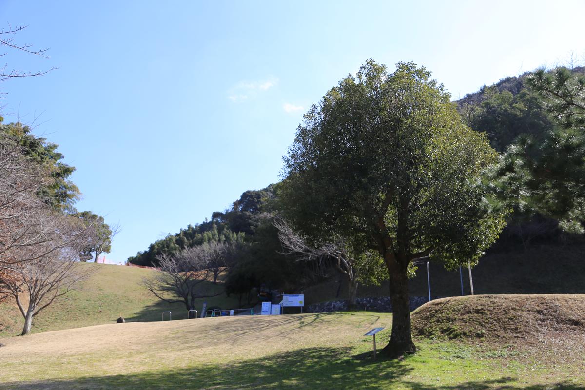 被爆クスノキ２世