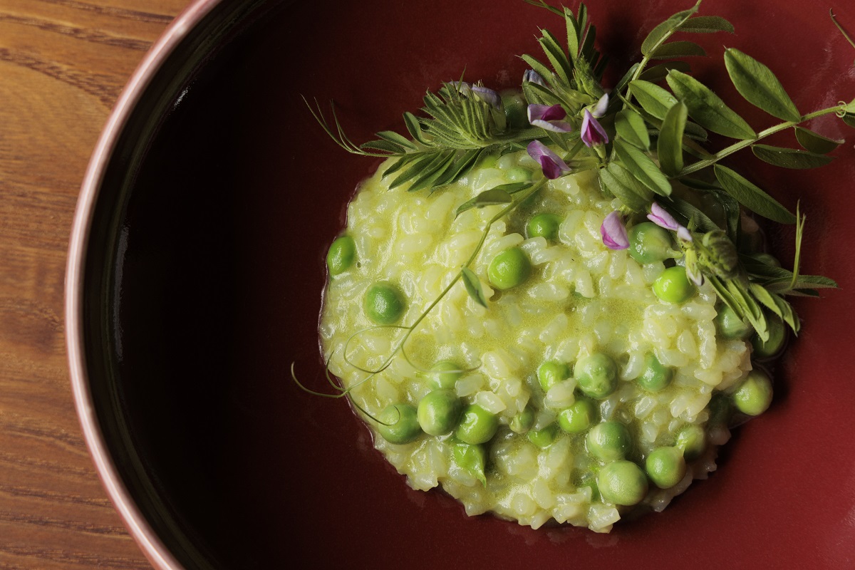 ristorante DONO（Organic cuisine）